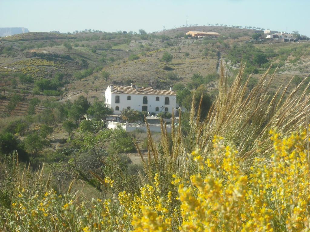 Hotel Los Sibileys Henares Exterior photo