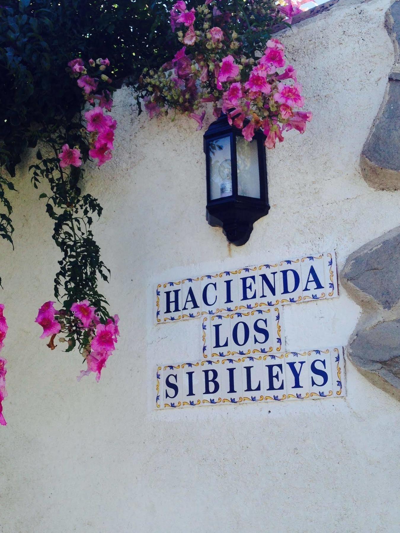 Hotel Los Sibileys Henares Exterior photo