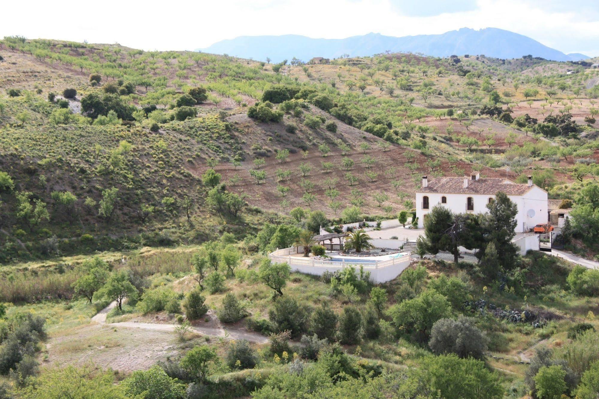 Hotel Los Sibileys Henares Exterior photo